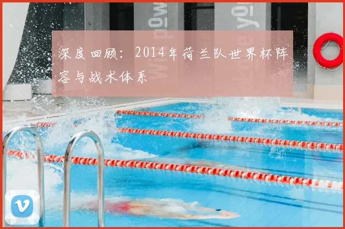 深度回顾：2014年荷兰队世界杯阵容与战术体系