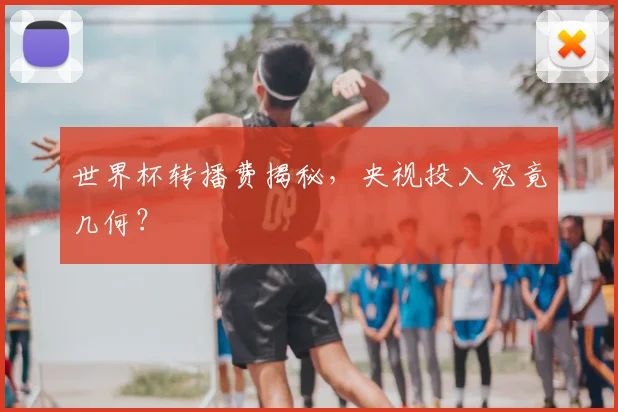 世界杯转播费揭秘,央视投入究竟几何?