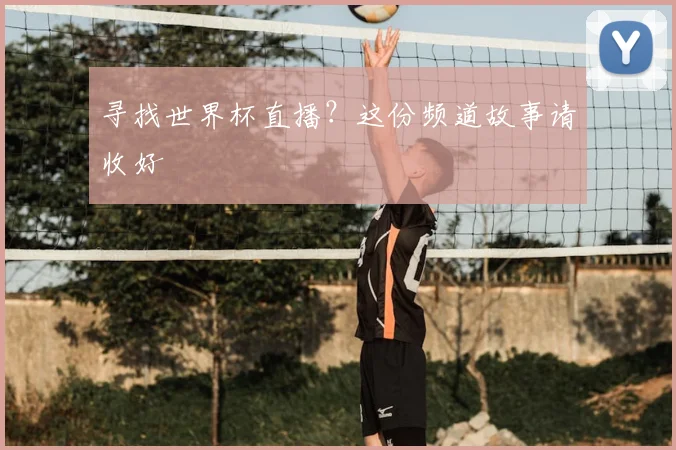 寻找世界杯直播？这份频道故事请收好