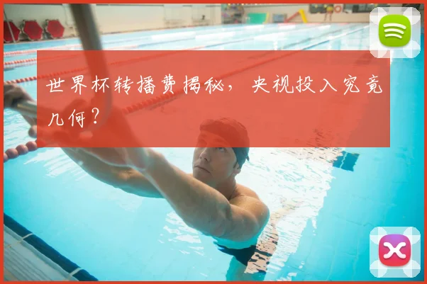 世界杯转播费揭秘,央视投入究竟几何?