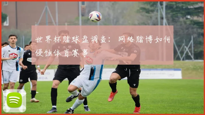 世界杯赌球盘调查:网络赌博如何侵蚀体育赛事