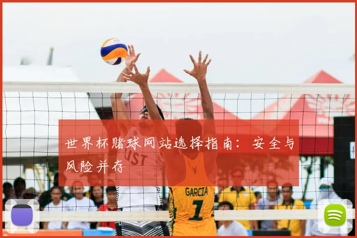 世界杯赌球网站选择指南:安全与风险并存