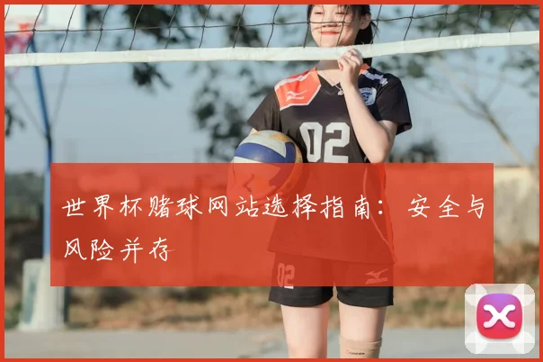 世界杯赌球网站选择指南:安全与风险并存