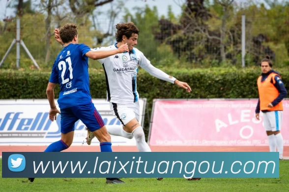 世界杯在线观看官网平台生态图